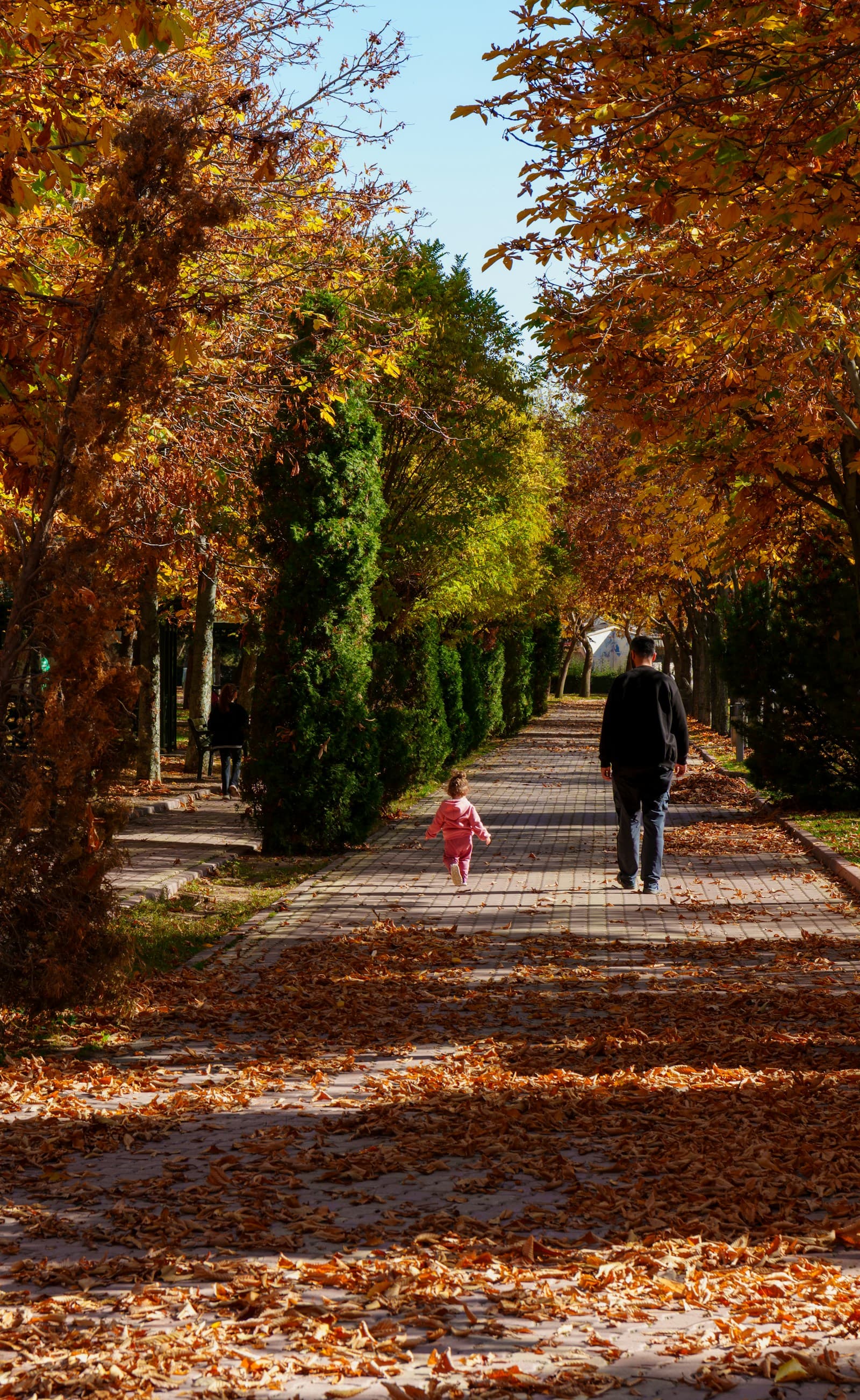 Un enfant court sur une allée de parc couverte de feuilles d'automne.