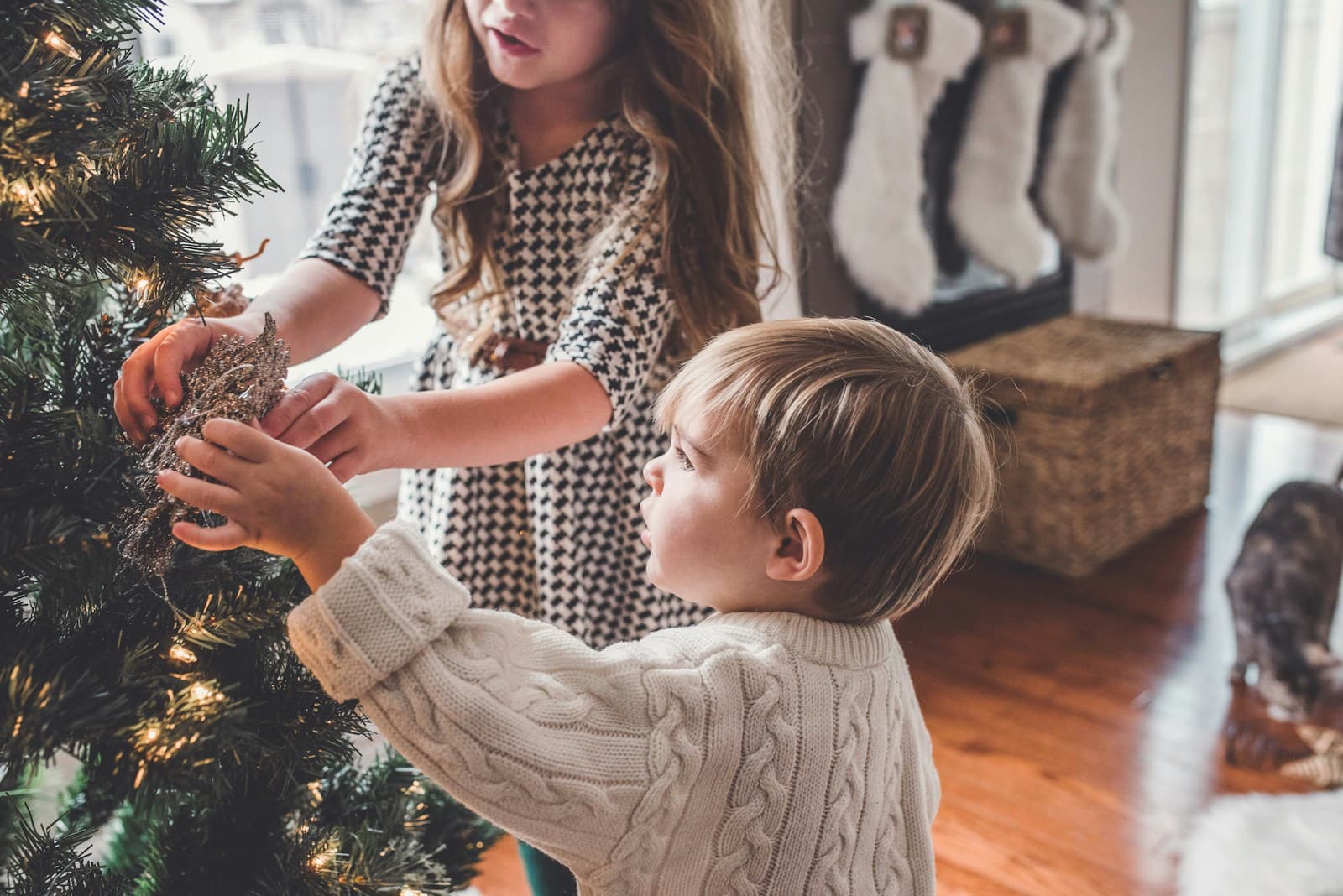 Un garçon et une fille décorent un sapin de Noël dans un salon.